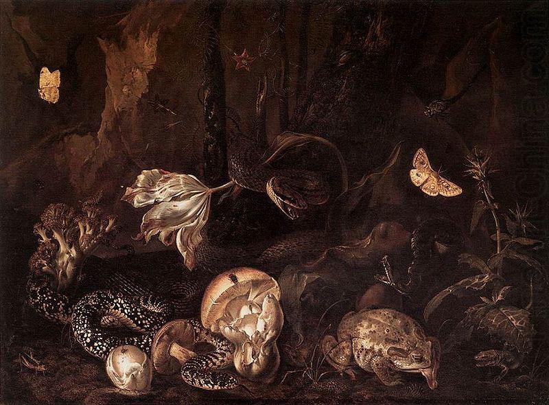 Otto Marseus van Schrieck Still life with Insects and Amphibians china oil painting image